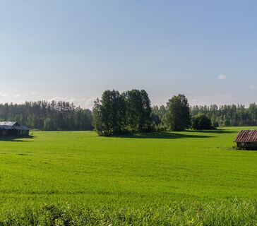 Landschaft