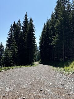 Foto von Heinz Sperl entlang der Tour
