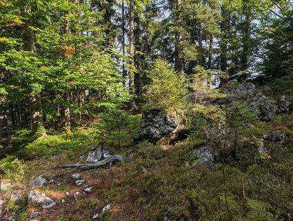 Foto von rgreil entlang der Tour