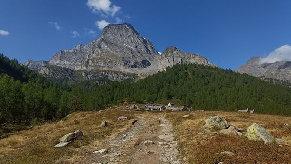 Foto von Maurizio Dell'acqua entlang der Tour