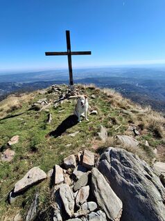 Fotografie de la Claudio Dainese de-a lungul turului