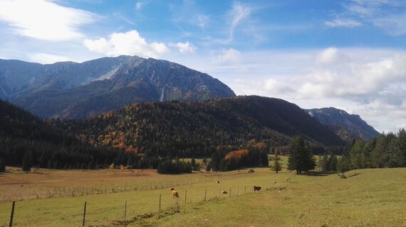 Schneeberg von den Almen bei der Mamauwiese