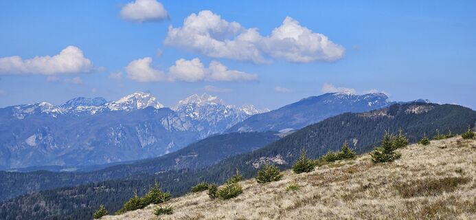 Foto de Mateja Rečnik a lo largo del recorrido