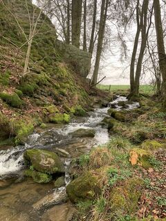 Photo from vieletausendkilometer along the tour
