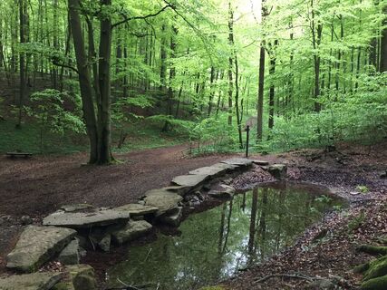 Zemljevid