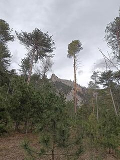 Foto von Bergpirat entlang der Tour