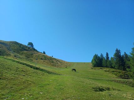 Foto von Thomas Michalek 1 entlang der Tour