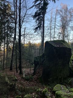 Zdjęcie z Rouven Schwark wzdłuż trasy