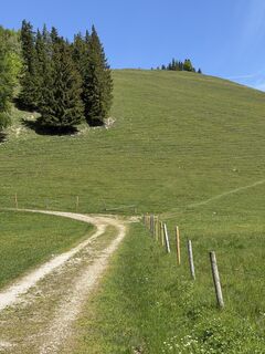 Foto von webwolf67 entlang der Tour