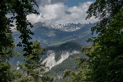 Rundtour Bonaduzer Wald 256