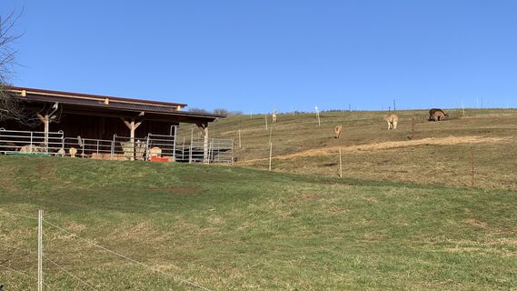 Foto da outdoor_rue lungo il tour