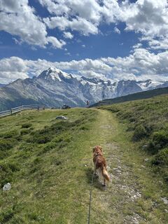 Foto de kristof vanhees a lo largo del recorrido