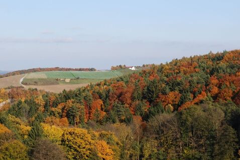 Schöne Aussichten