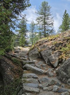 Photo de reburk le long du parcours