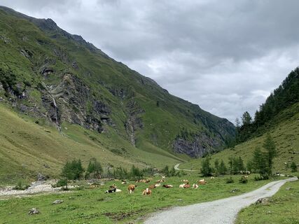 Foto von Koen De Wit entlang der Tour