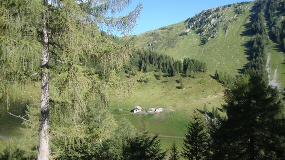 Frondell Alm ist in Sichtweite