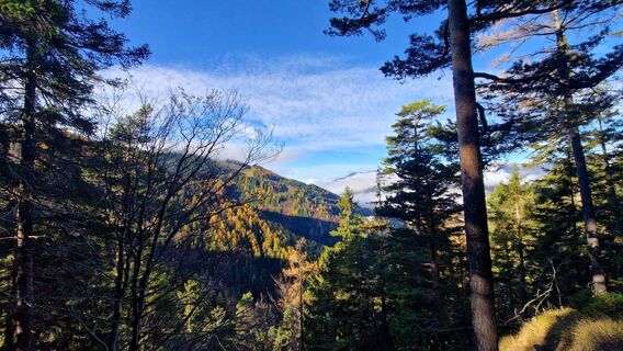 Fotografia z EP87 na trase