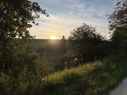 Foto von Schaali entlang der Tour
