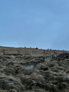 Photo de Hans-Peter E le long du parcours