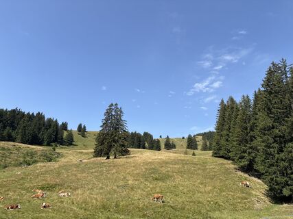 Fotografija s spletne strani Heinz Sperl na poti