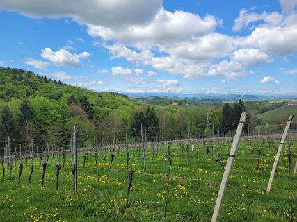 Photo de Juliane Jarke le long du parcours