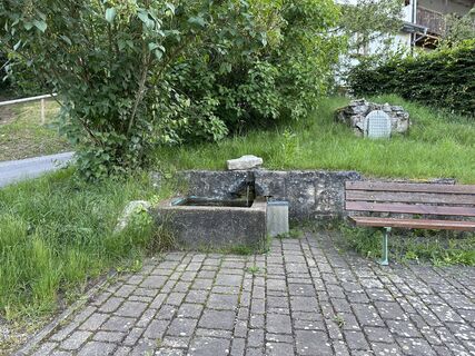 Foto de justasimpleguy a lo largo del recorrido