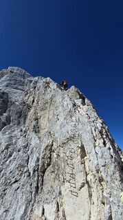 Photo de simbape le long du parcours