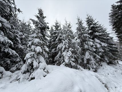 Foto von Florian Leopold Stonig entlang der Tour