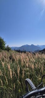 Fotografija s spletne strani Hari Schrittwieser na poti