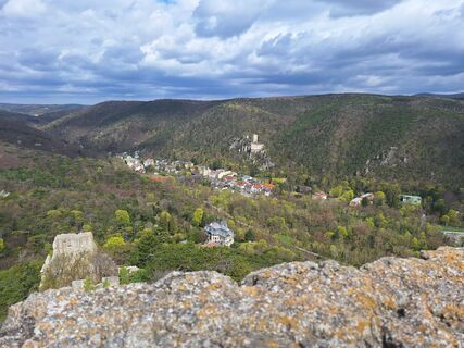 Foto von Reinlinde Trummer Milkovits entlang der Tour