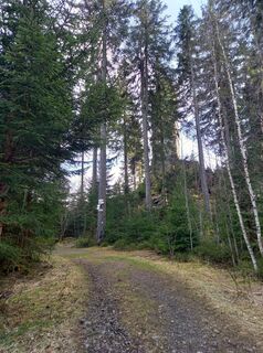 Foto von Wollomator entlang der Tour