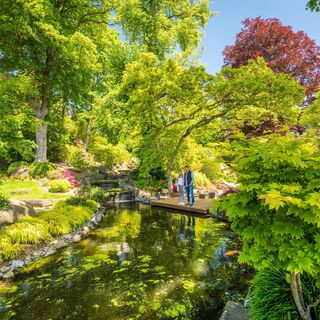 Japanischer Garten.