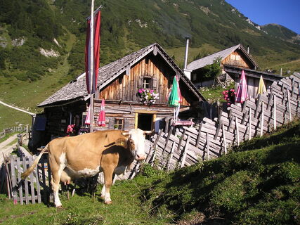 Rinnbergalm bei Rußbach