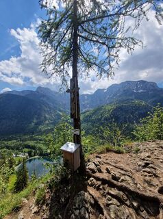 Fotografia z Daniel Fasching na trase