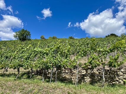 Foto von Christian Bozsoki entlang der Tour