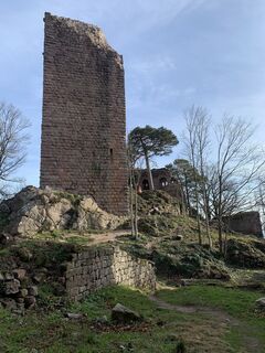 Foto von cabrol florian entlang der Tour