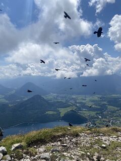 Fotografija s spletne strani Marek Majewski na poti