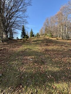 Foto von Peda entlang der Tour