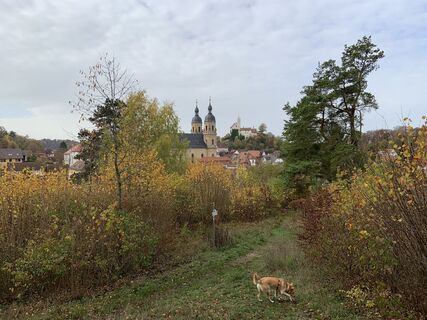 Foto von Uwe Schwarz entlang der Tour