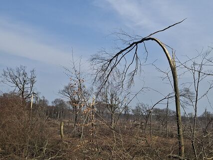 Zdjęcie z Henriette Mussger wzdłuż trasy