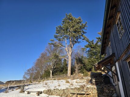 Фото с сайта enipeus 65 во время экскурсии