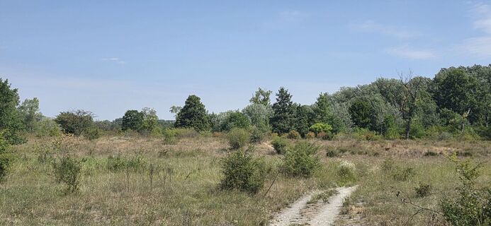 Fotografija s spletne strani Veri89 na poti