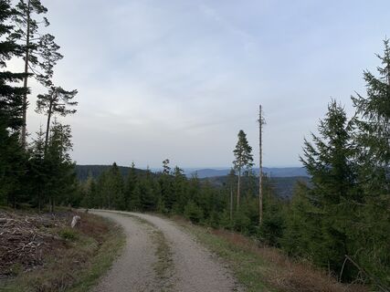 Foto von tracksau entlang der Tour