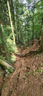 Fotografia z Monika Röska na trase