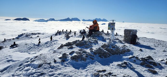 Fotografia z Igor napast na trase