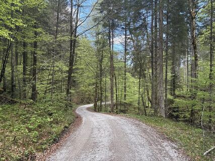 Foto de Similaun a lo largo del recorrido