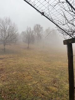 Фото с сайта Angelo Milesi 1 во время экскурсии