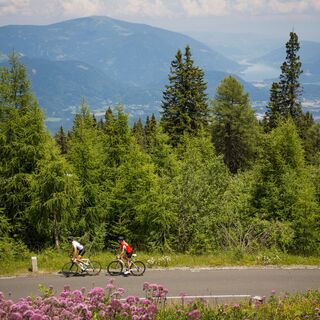 Rennrad Alpenstraße