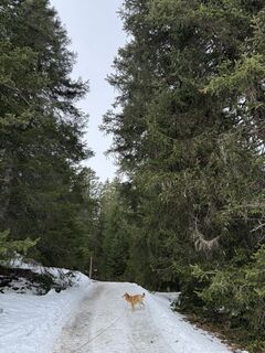 Foto von Rolf Litscher 1 entlang der Tour