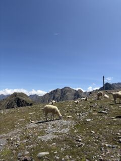 Foto von Domenik Ost entlang der Tour